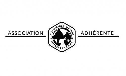 association-adherente noir