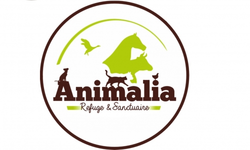 logo animalia en long