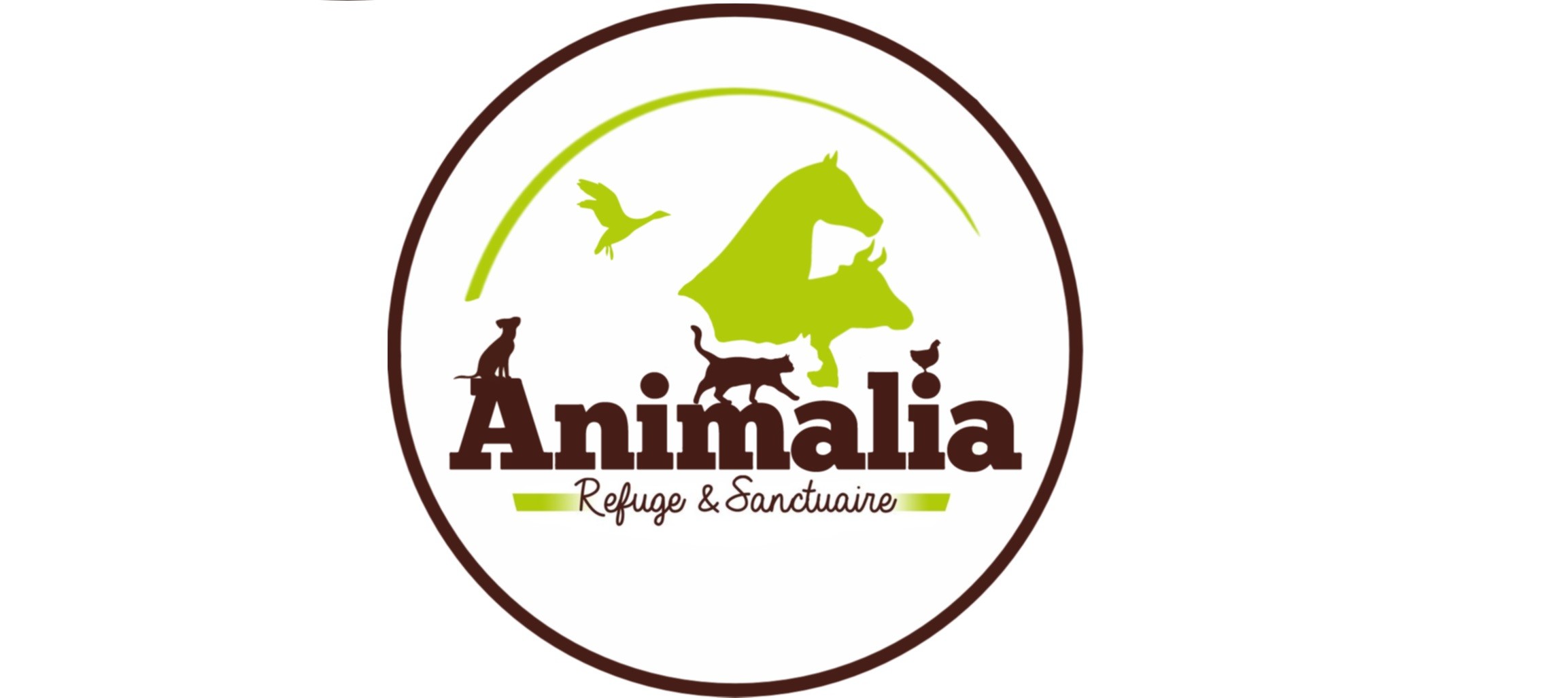 logo animalia en long