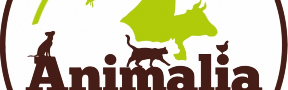 animalia logo 1024×1024