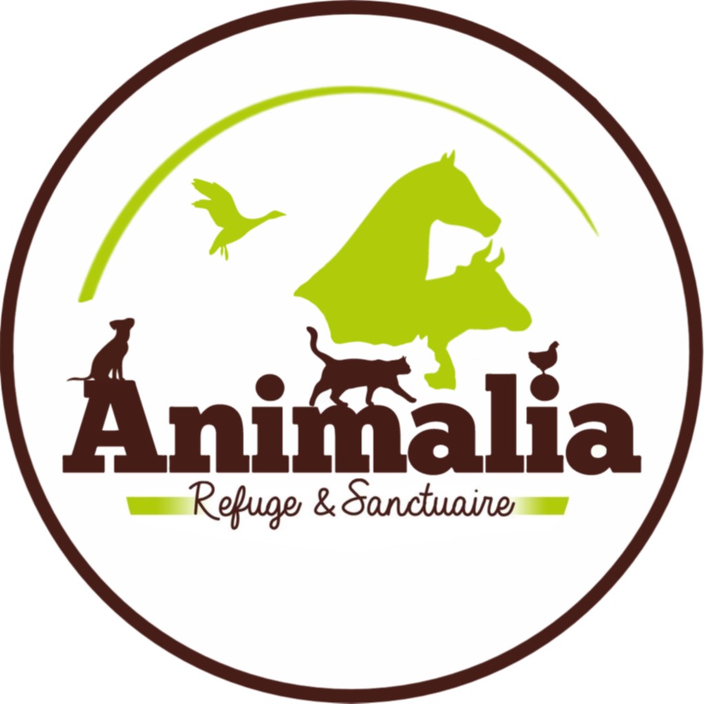 animalia logo 1024×1024